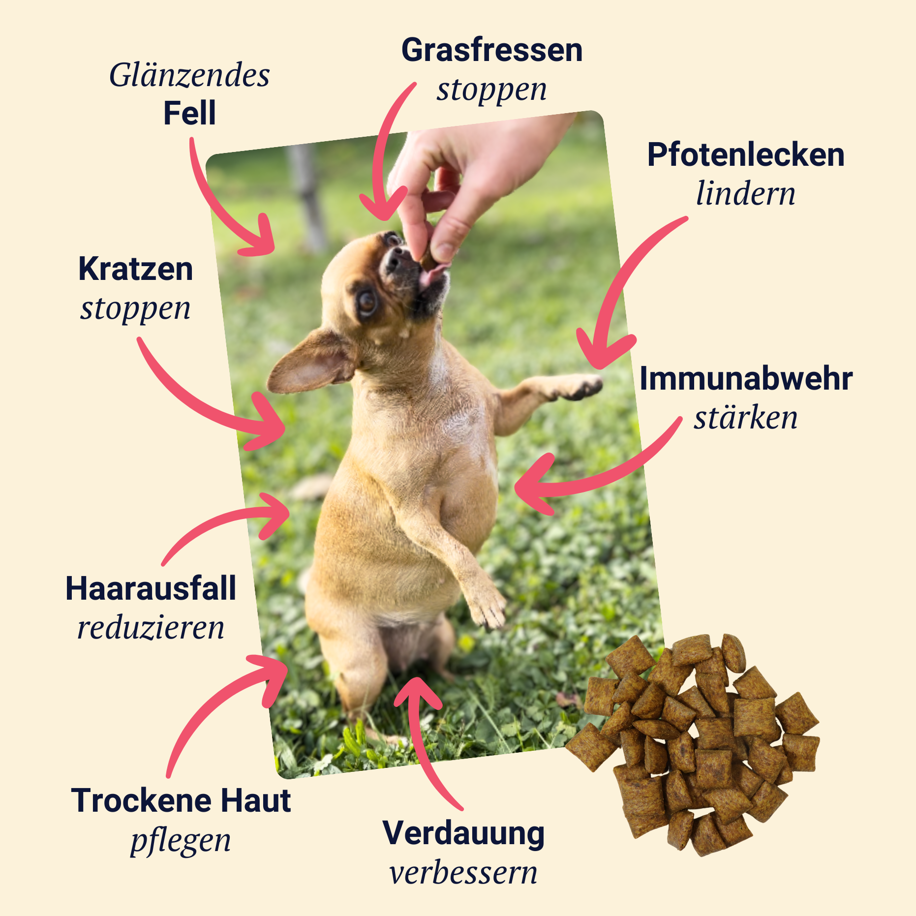 Belly Biotics (jar) €24,90