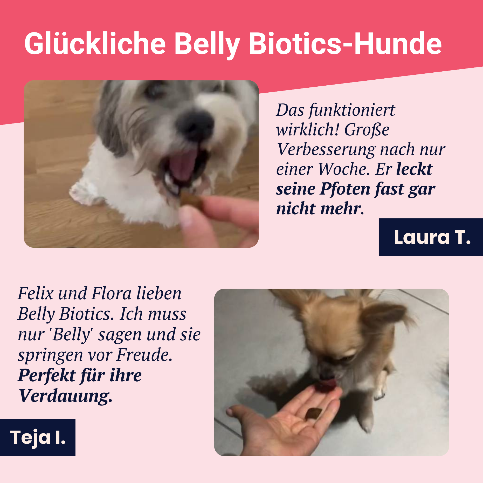 Belly Biotics (jar)