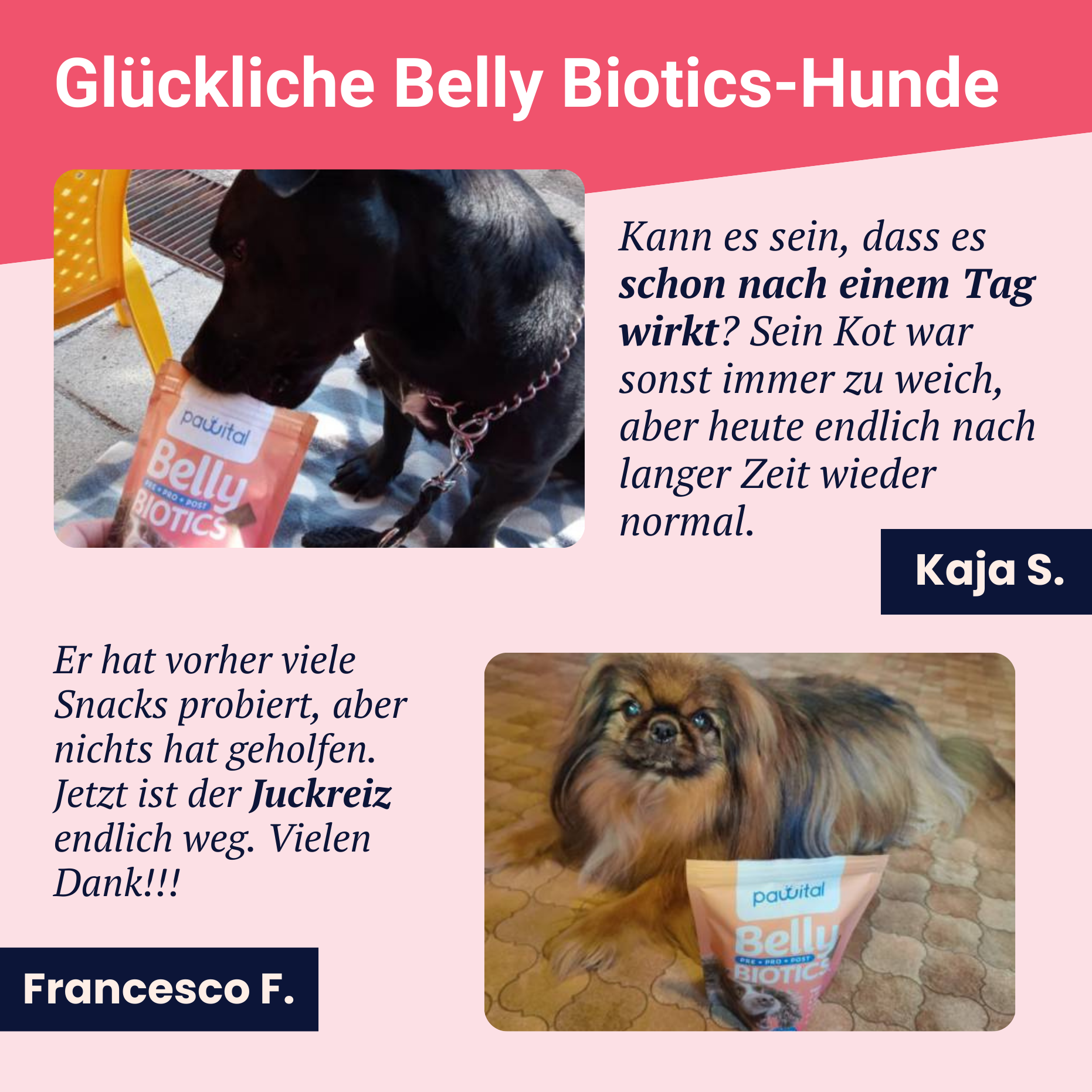 Belly Biotics (jar)