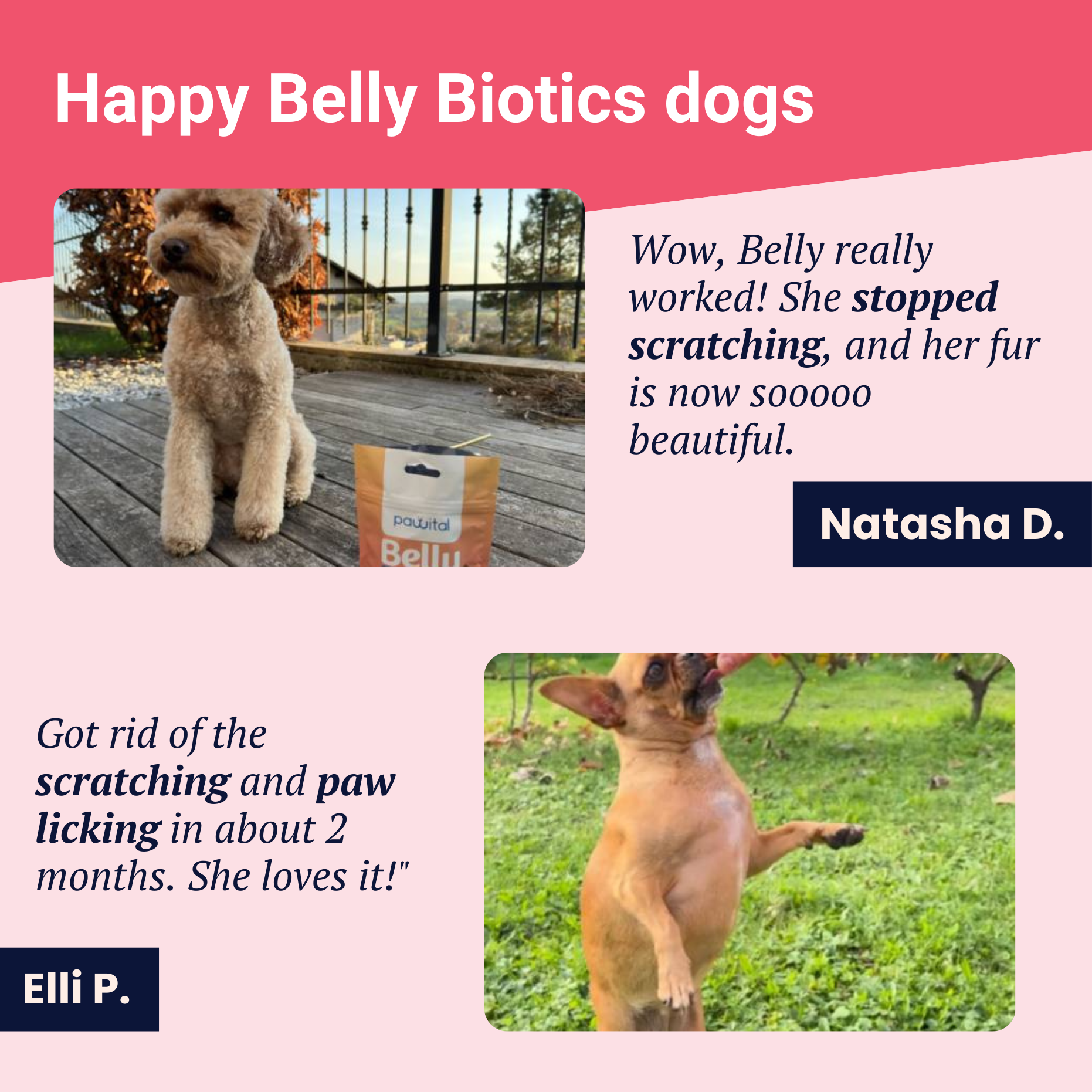 Belly Biotics (jar)