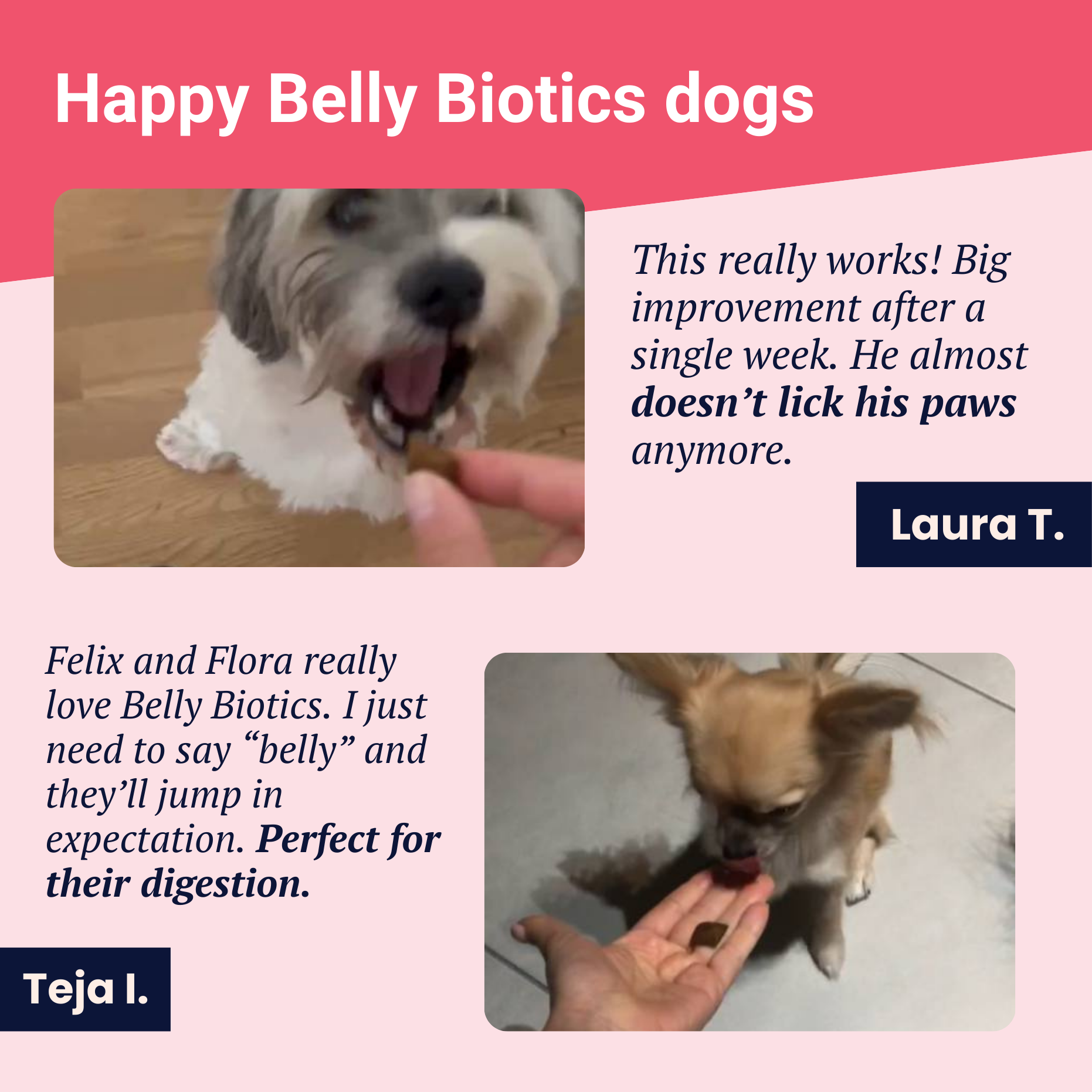 Belly Biotics (jar)