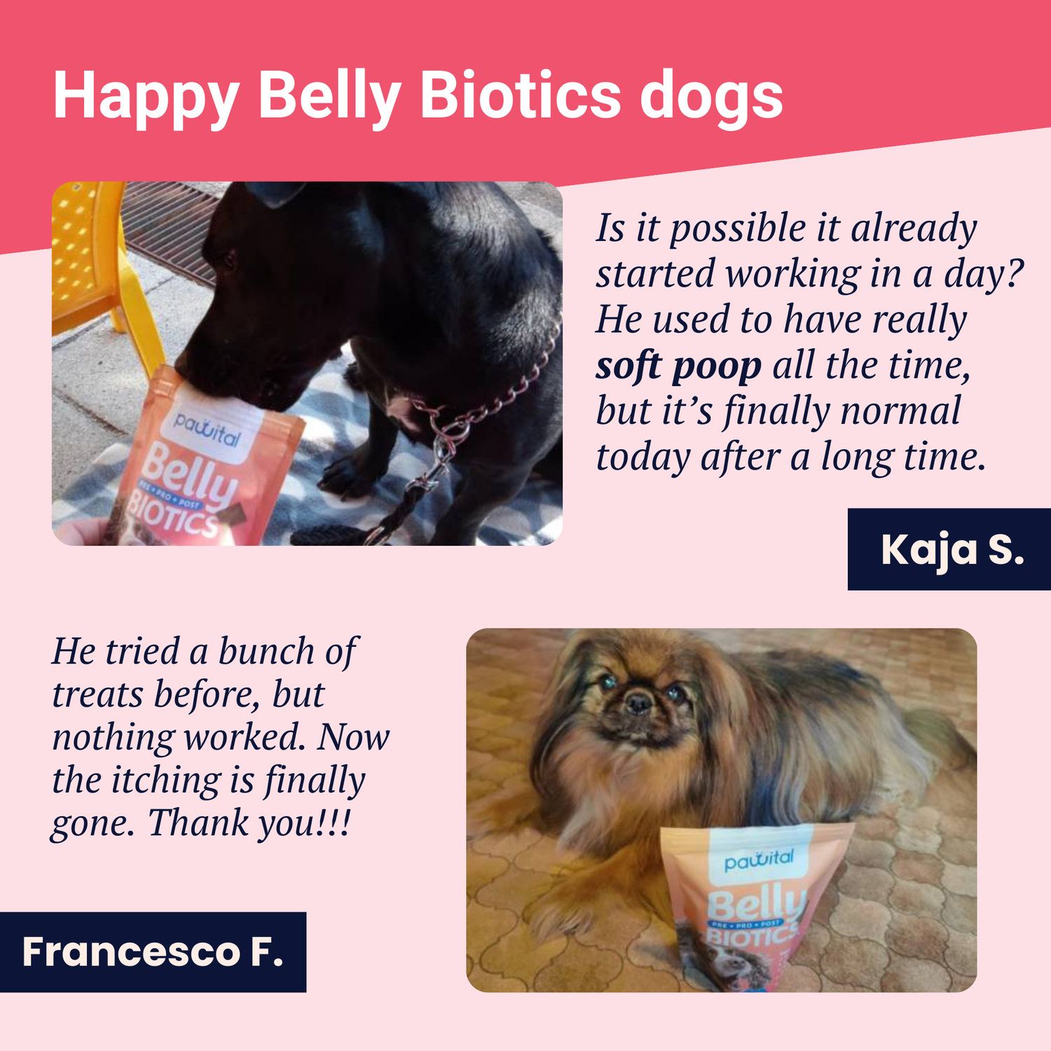 Belly Biotics (jar)