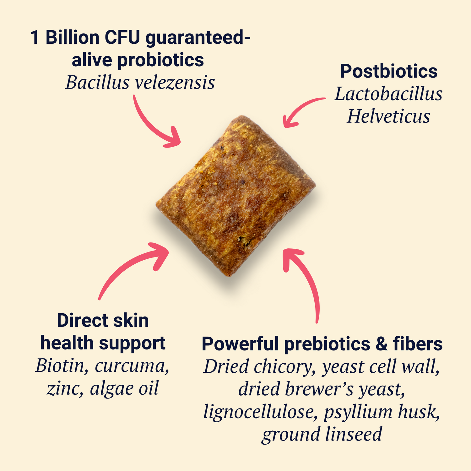 Belly Biotics (jar)
