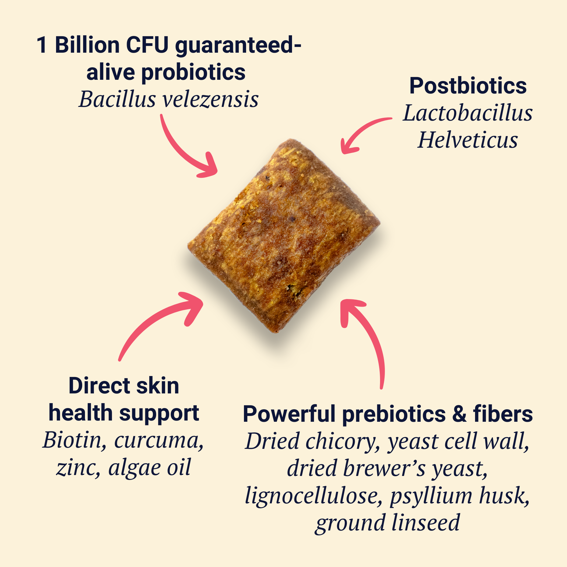 Belly Biotics (jar)