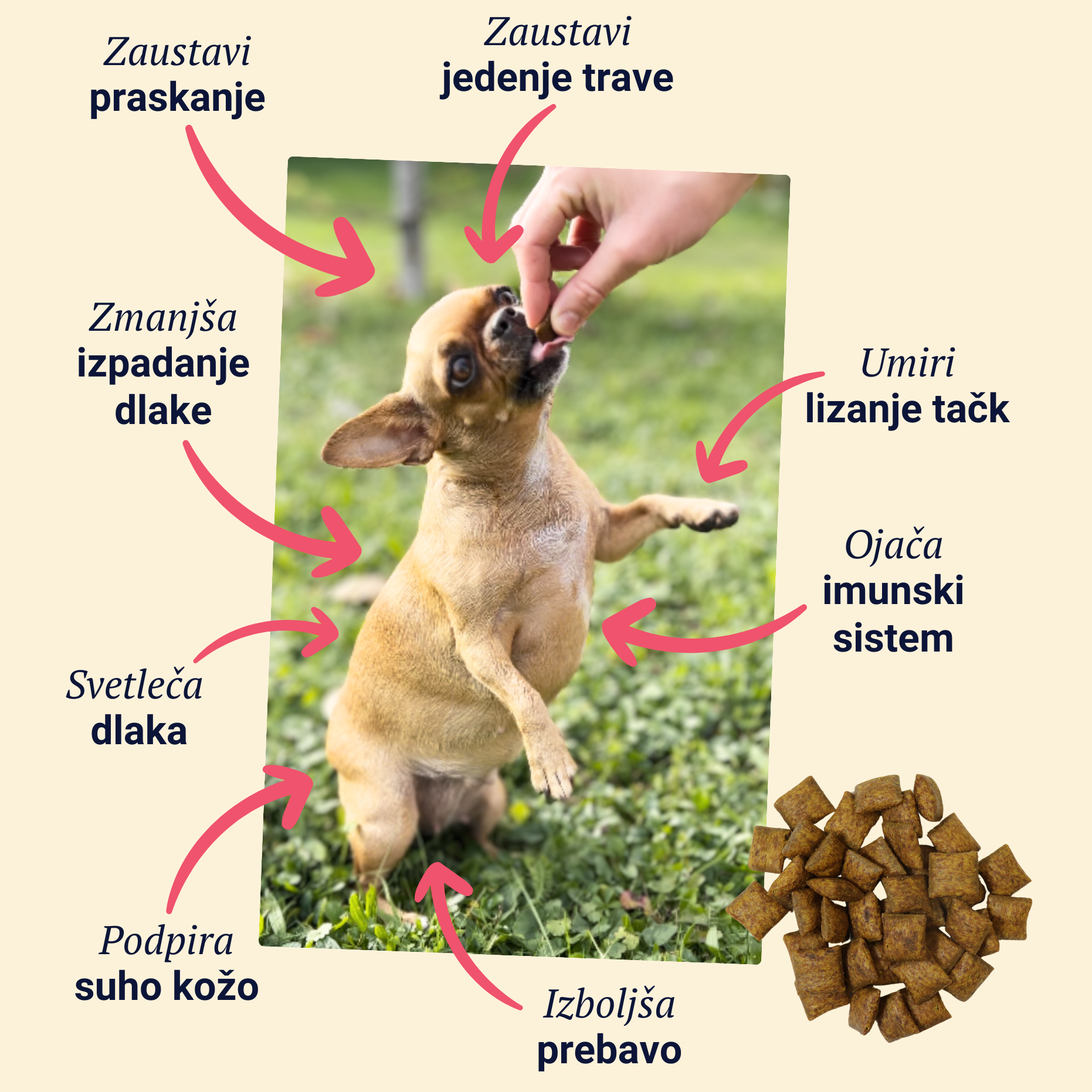 Belly Biotics (360 treats)