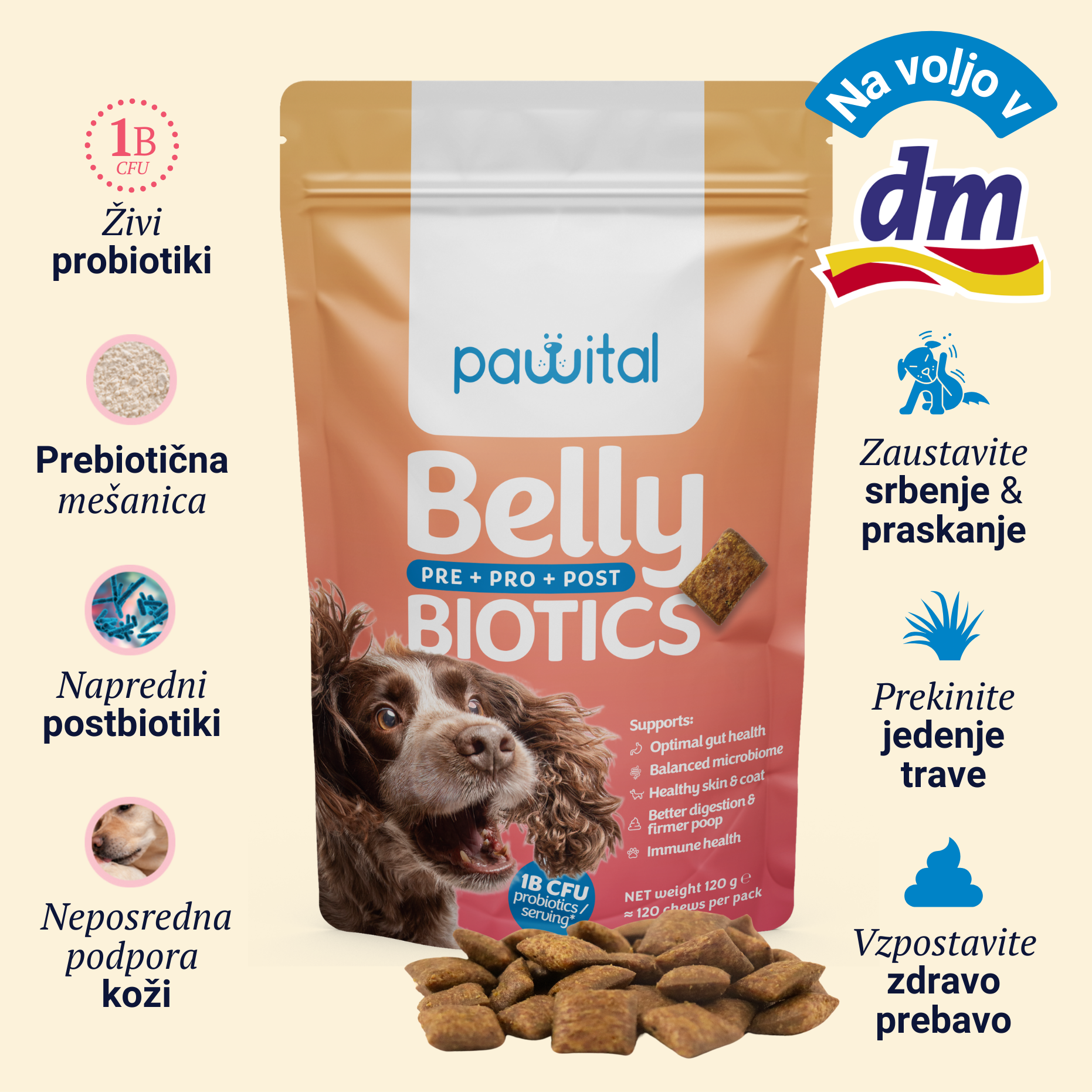 Belly Biotics Welcome