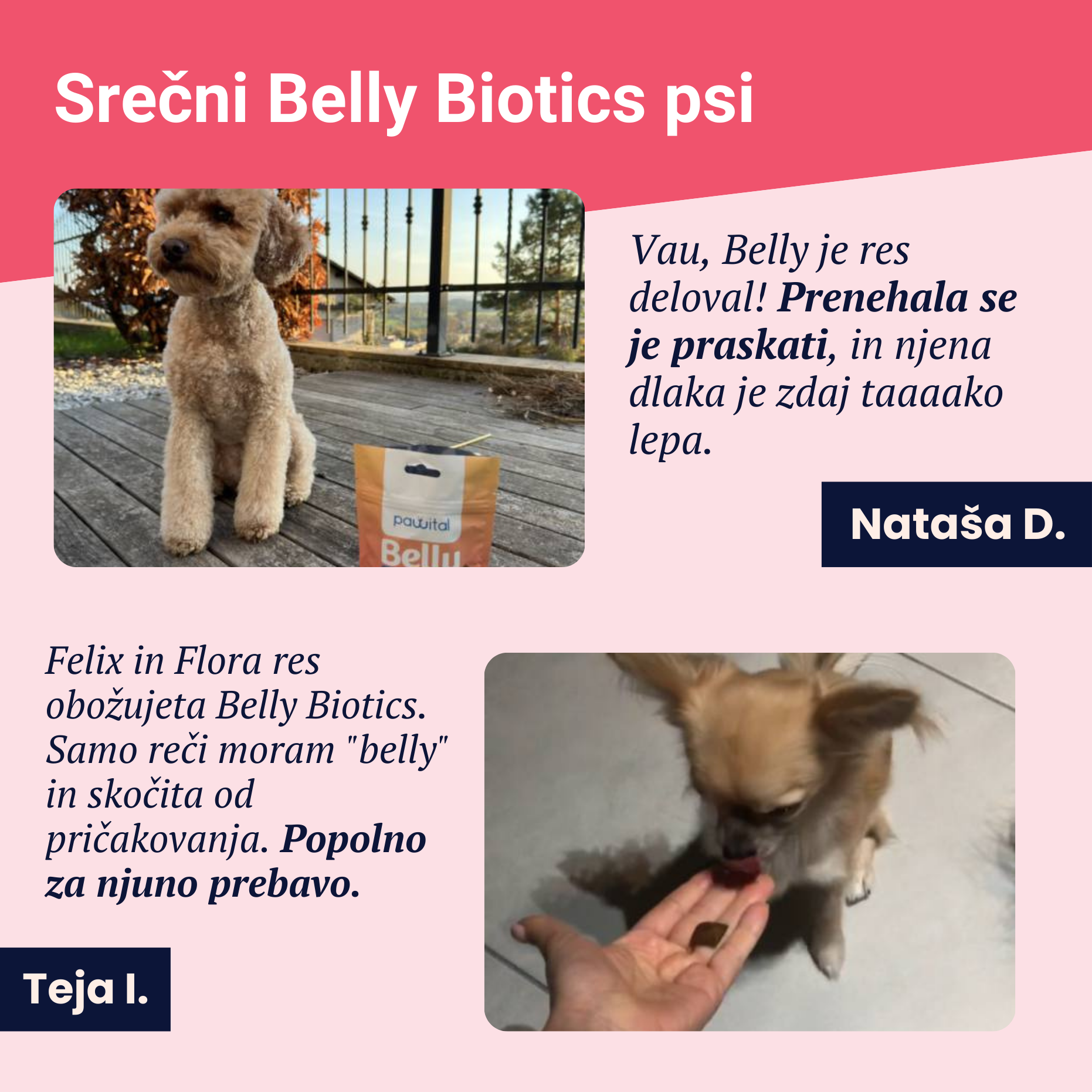 Belly Biotics (jar) €24,90