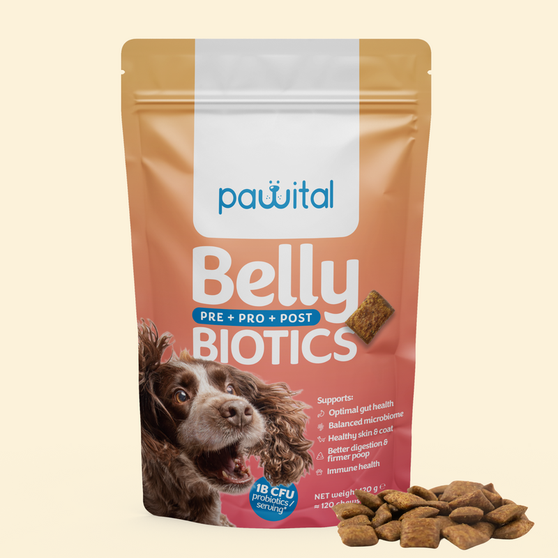 Belly Biotics SLO
