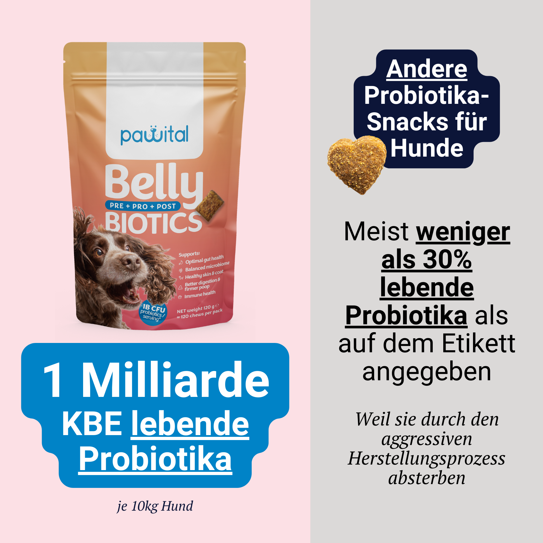 Belly Biotics (360 priboljškov)