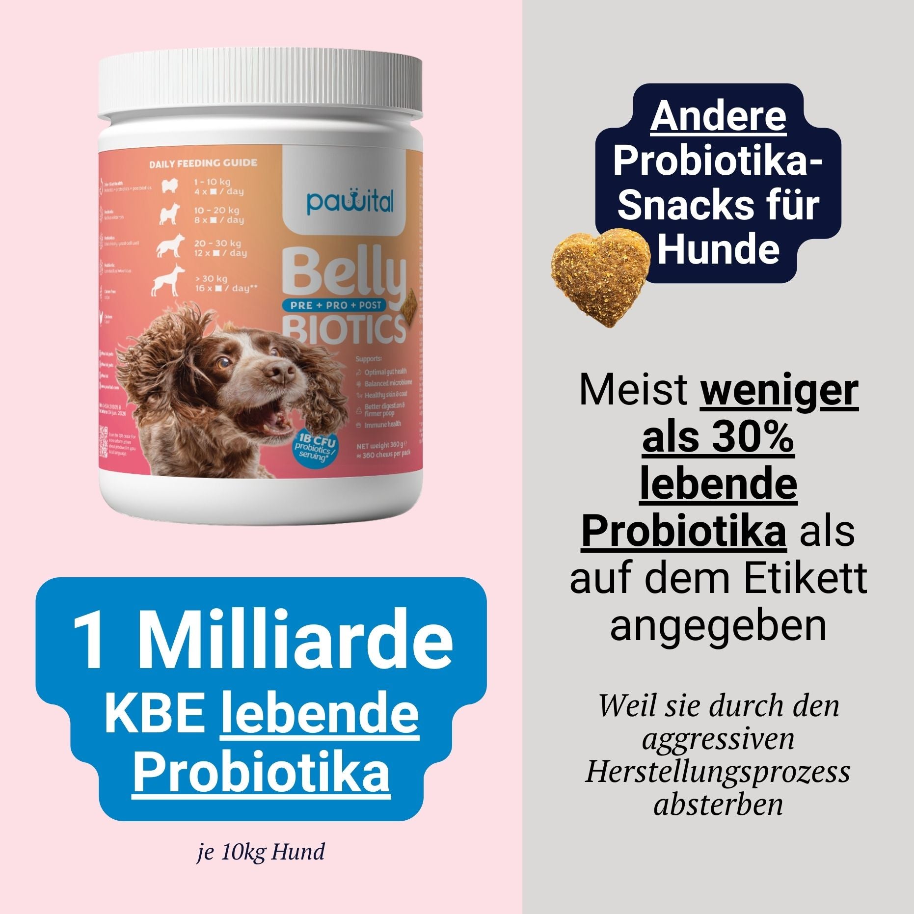 Belly Biotics (360 treats)