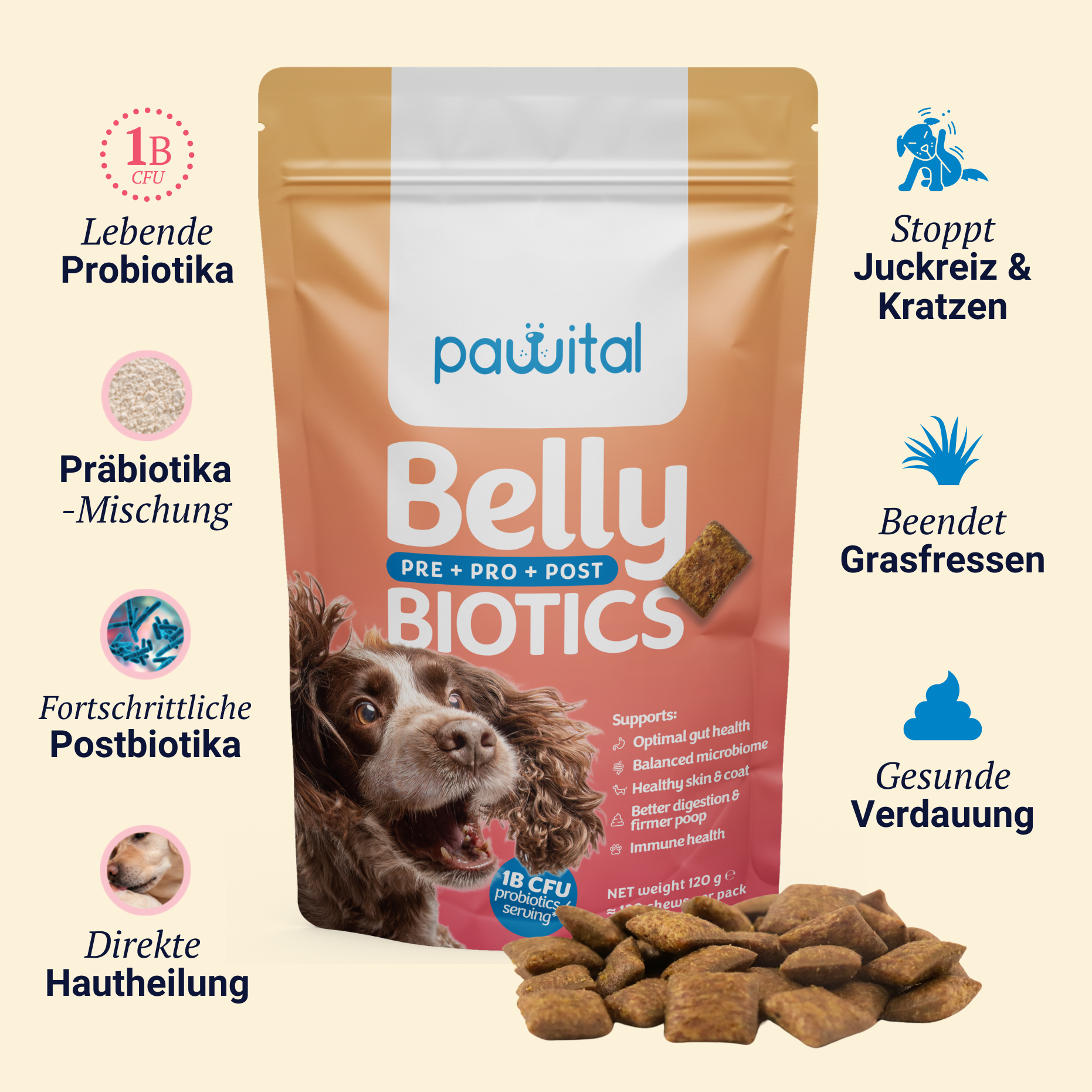 Belly Biotics