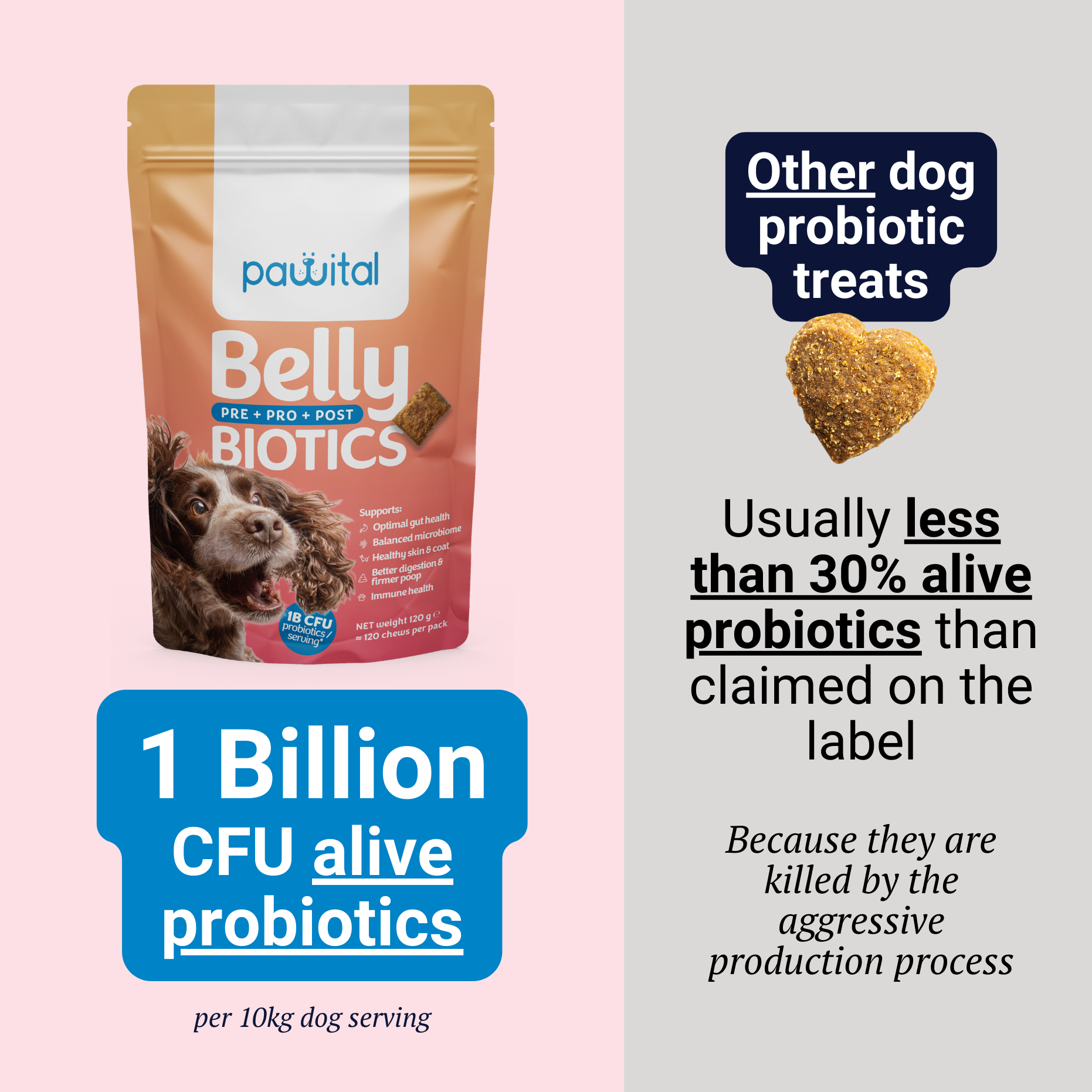 Belly Biotics (360 priboljškov)