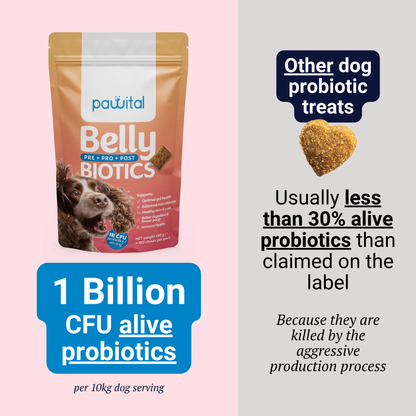 Belly Biotics Maintain