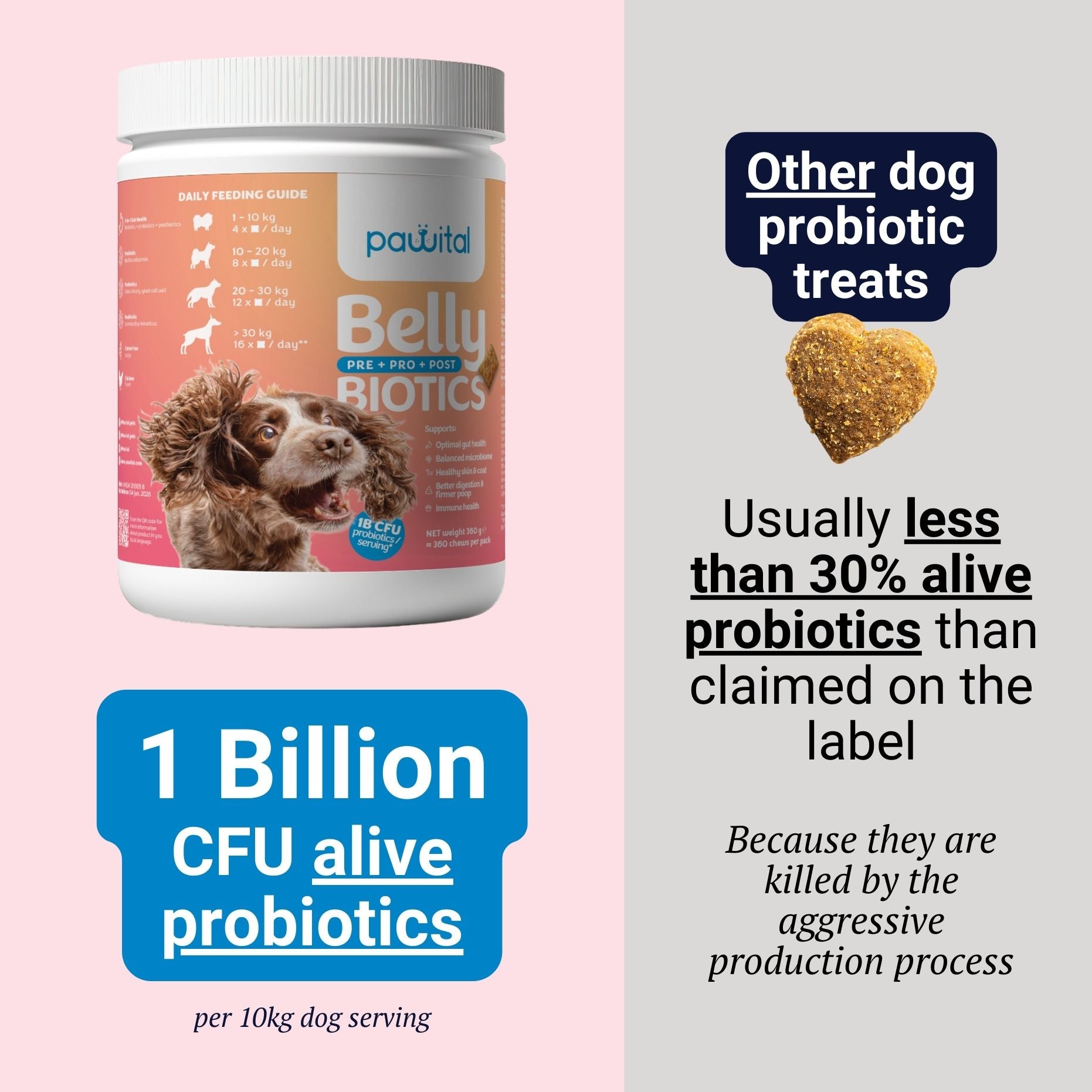 Belly Biotics (360 treats)