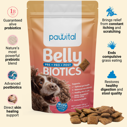 Belly Biotics (360 treats)
