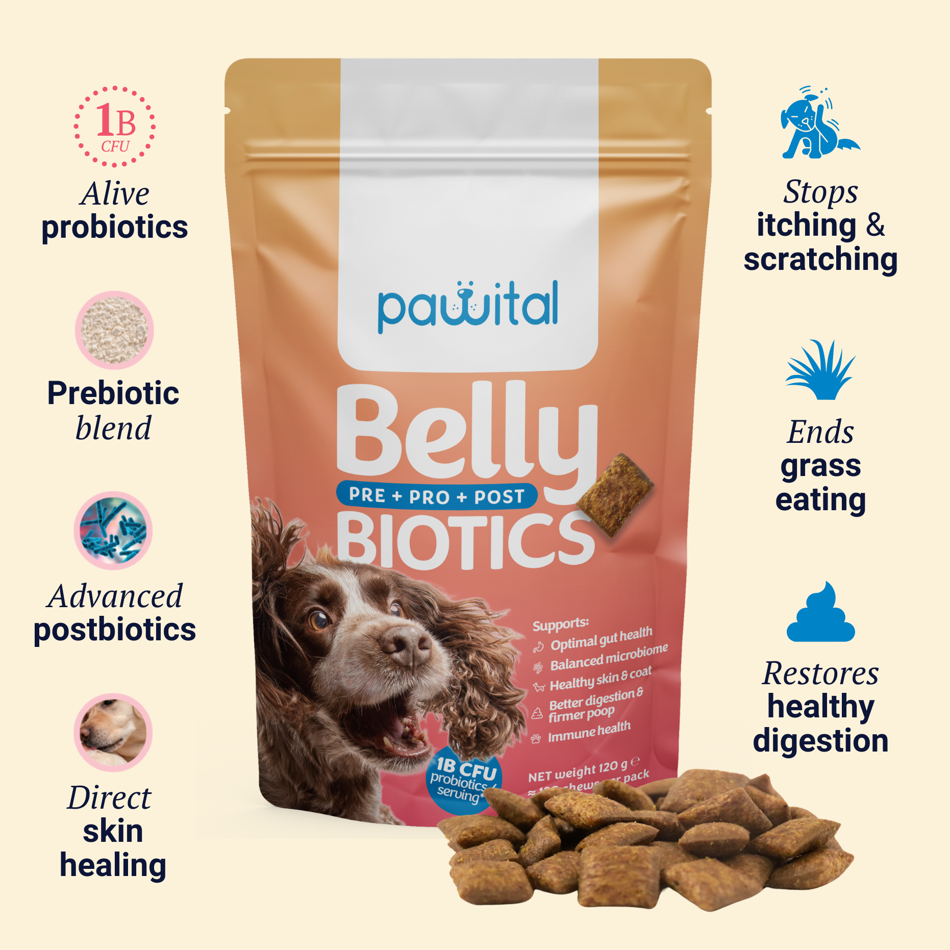 Belly Biotics