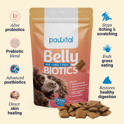 Belly Biotics Welcome