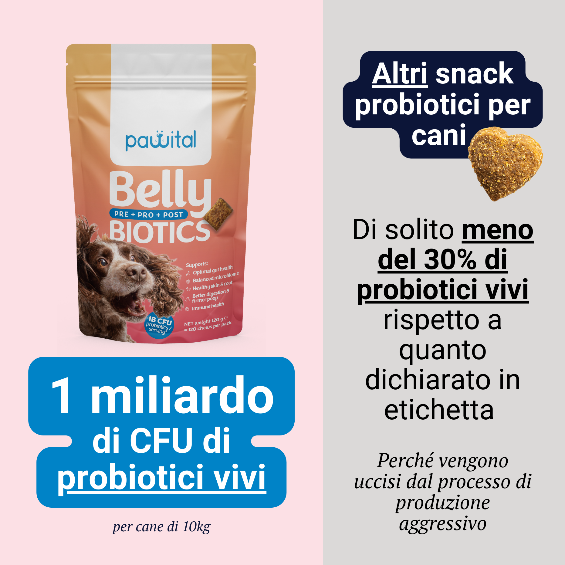 Belly Biotics (360 priboljškov)