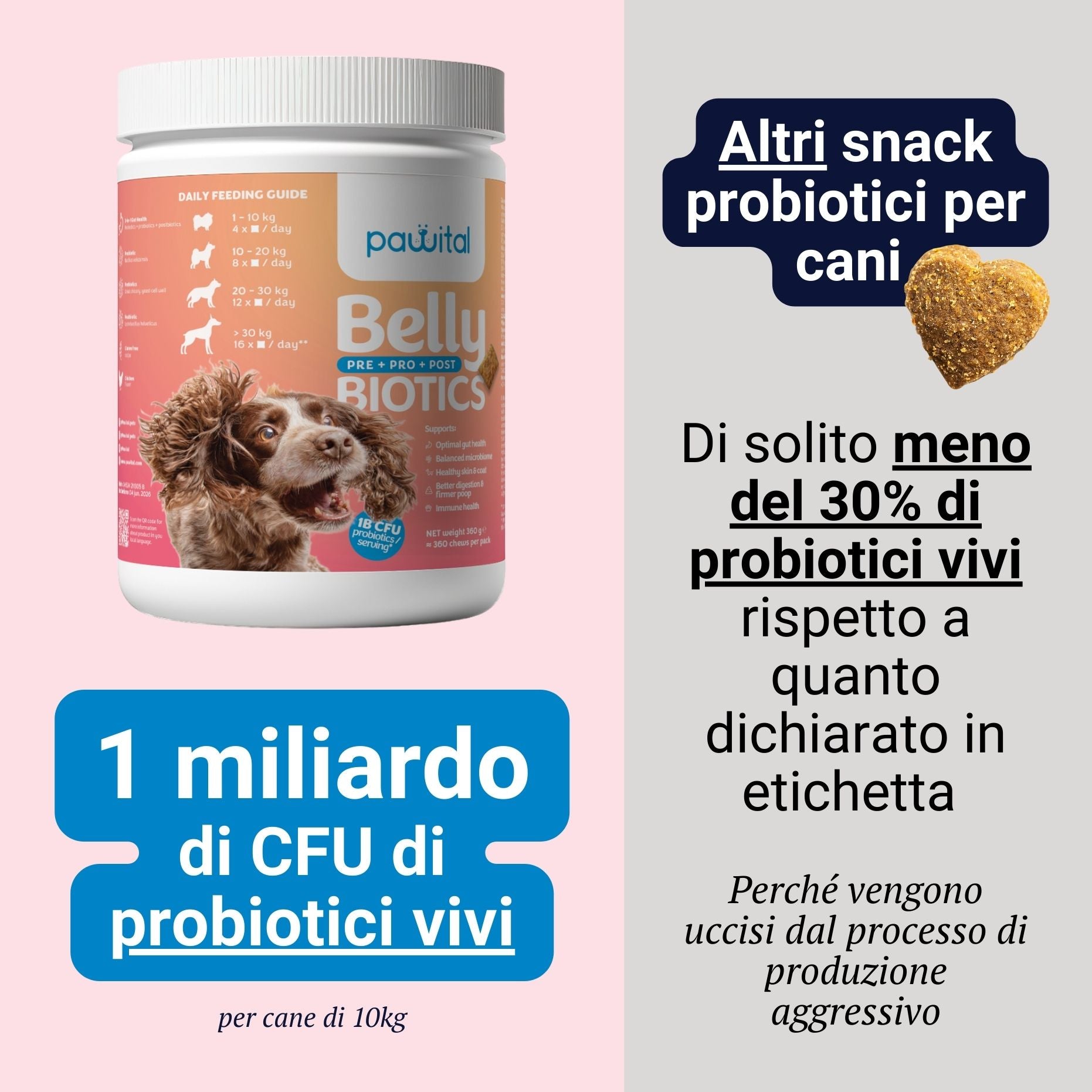 Belly Biotics (360 treats)