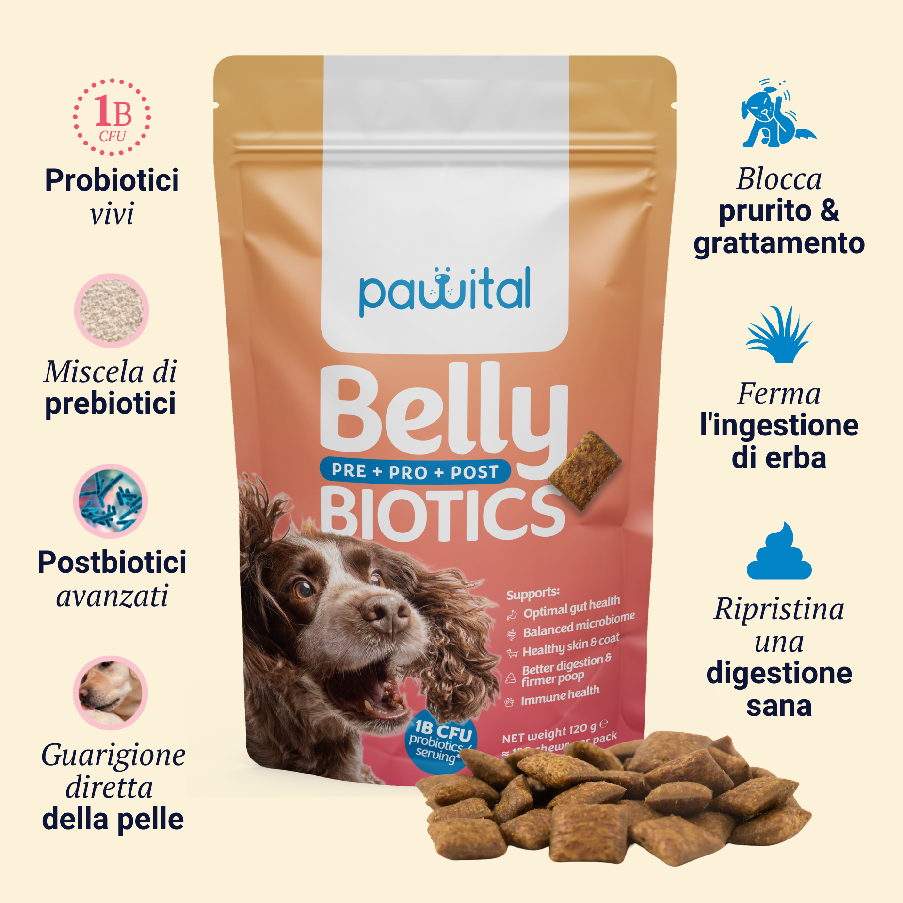 Belly Biotics (360 priboljškov)