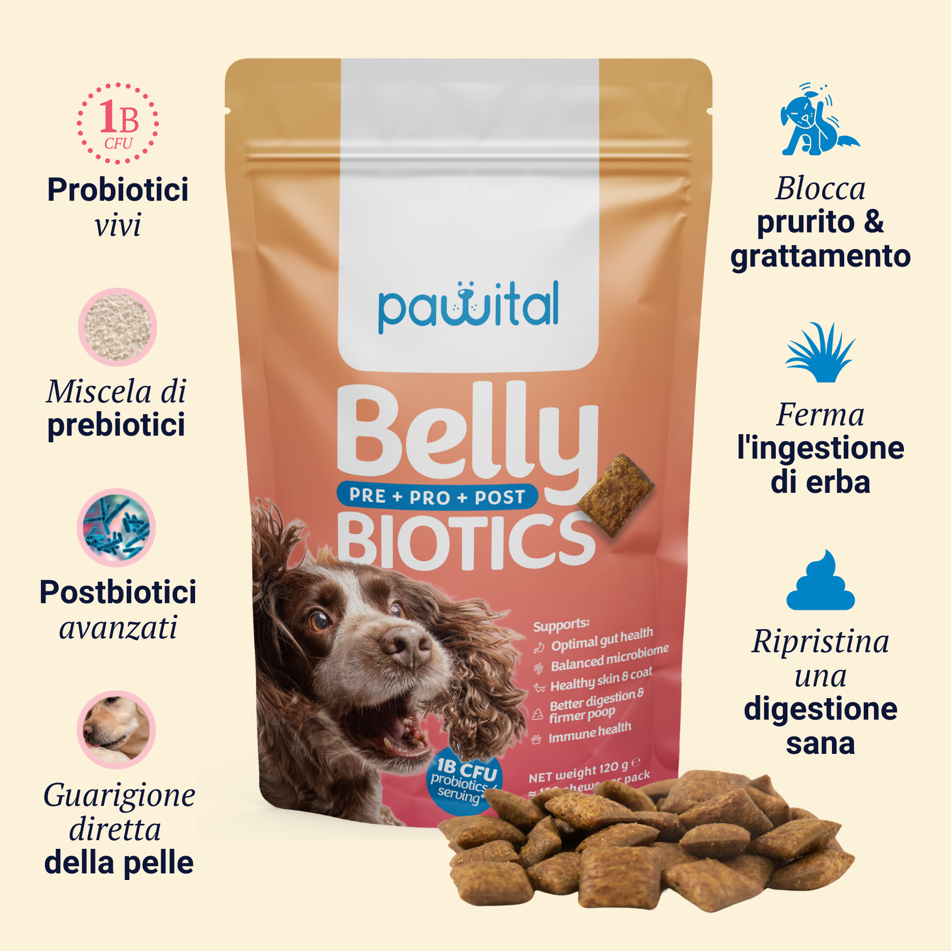 Belly Biotics €12,90 Refill + gutQR