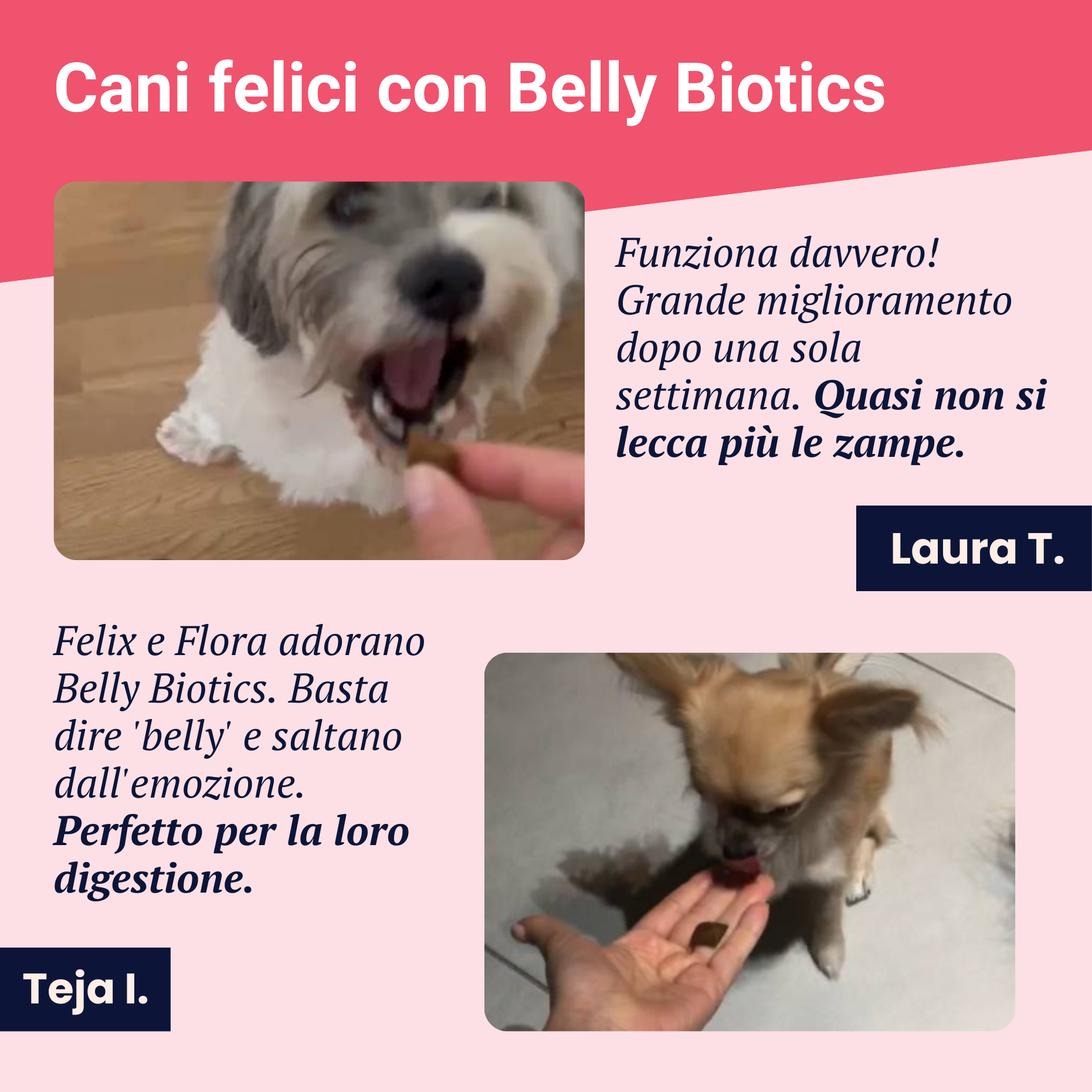 Belly Biotics (360 priboljškov)