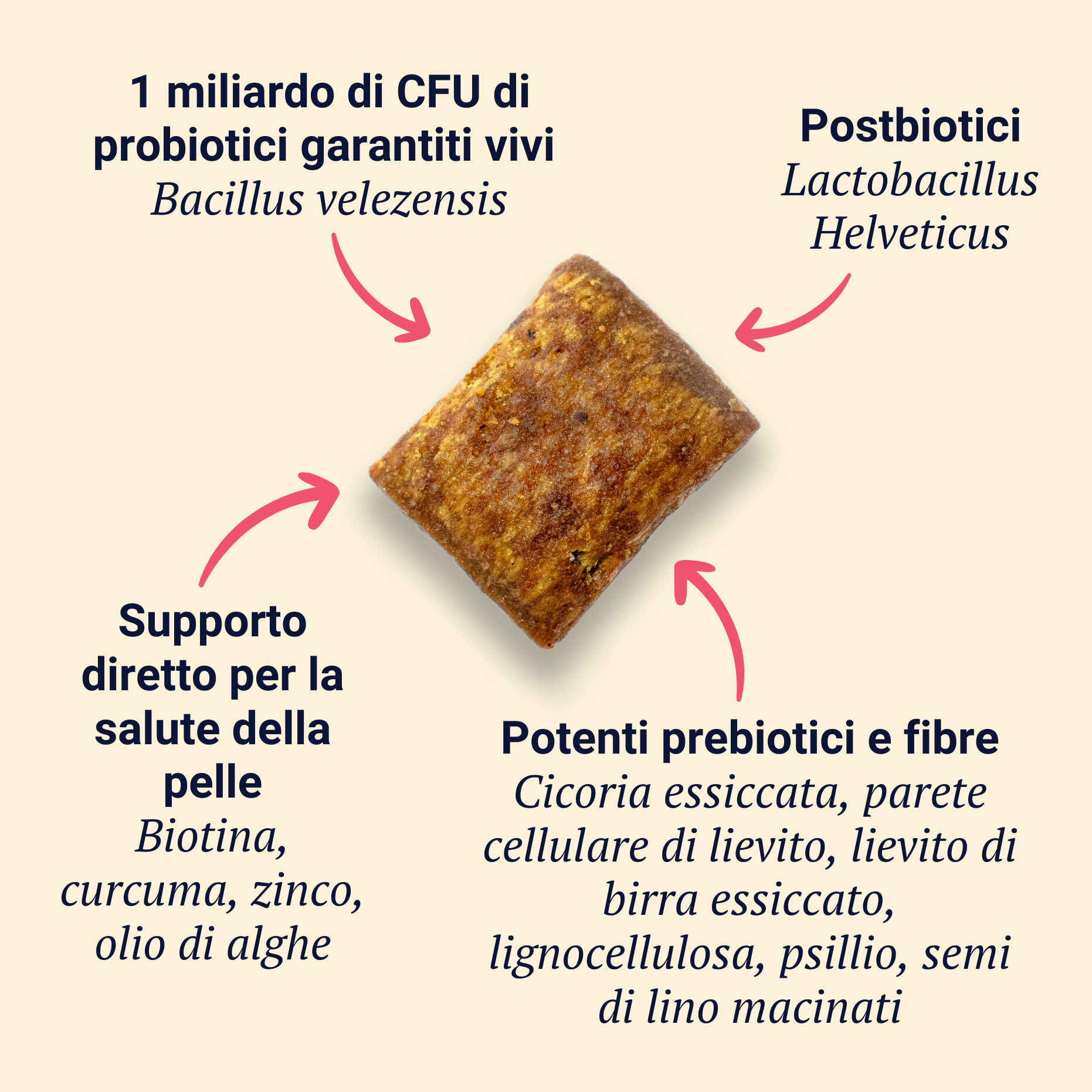 Belly Biotics (360 priboljškov)