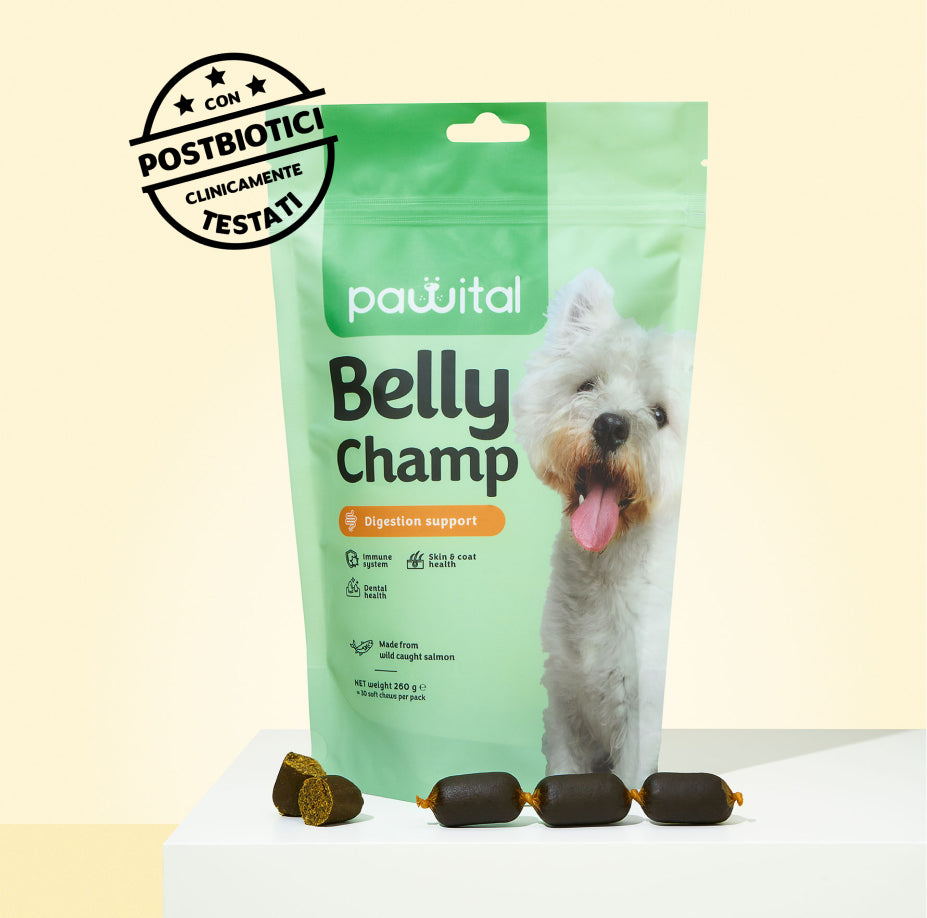 Belly Champ €14,90 (-50%)