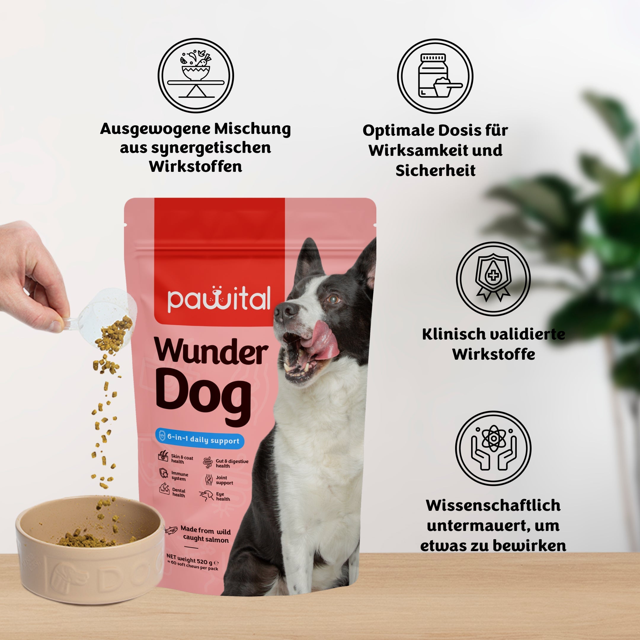 Wunder Dog -78%