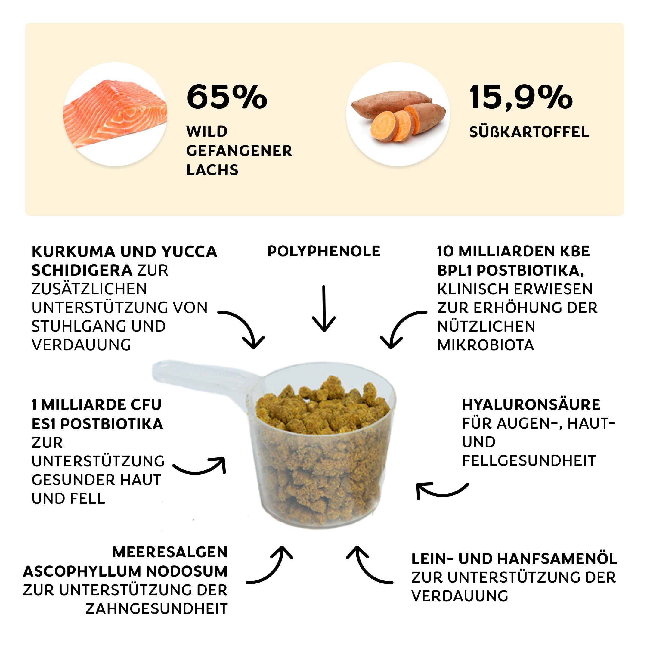 Wunder Dog -78%