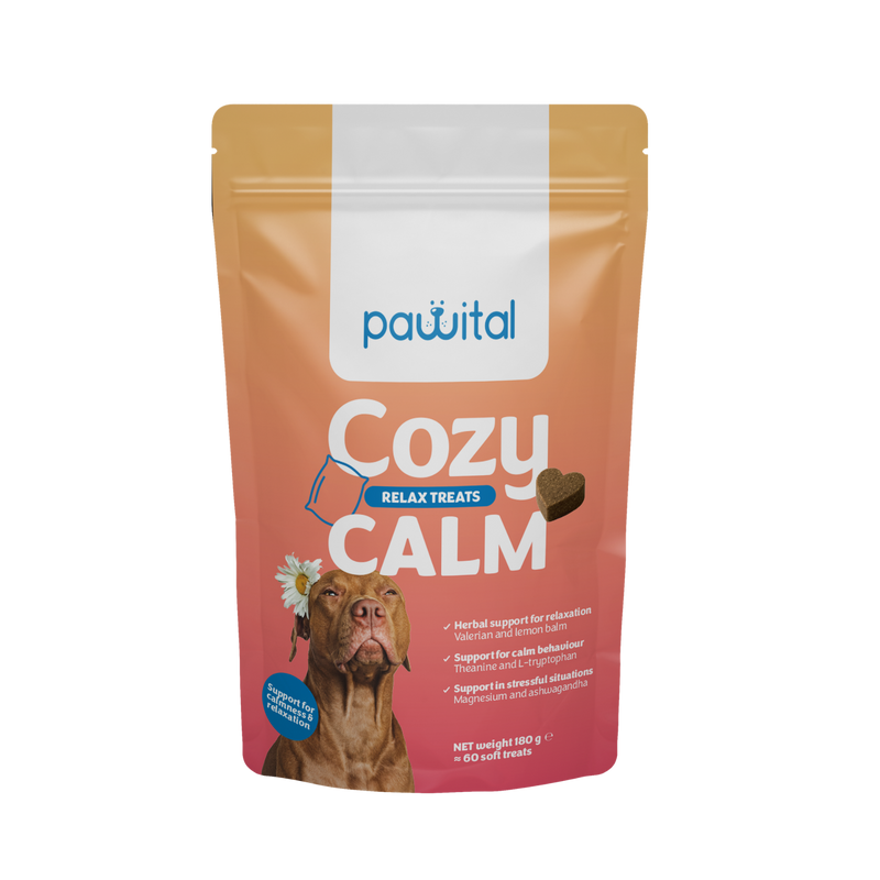 Cozy Calm SLO