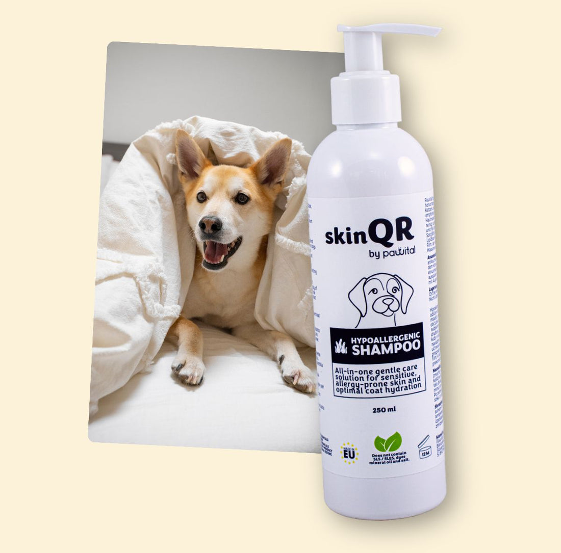 skinQR Hypoallergenic Shampoo (250ml)